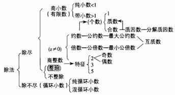 1588207035888001.jpg 9.jpg