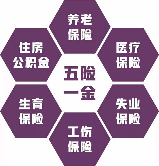 五险一金指什么