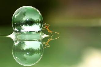 1592791759373399.jpg u=506203098,1964367543&fm=26&gp=0.jpg