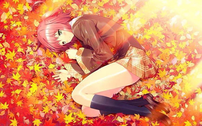 二次元是什么意思？