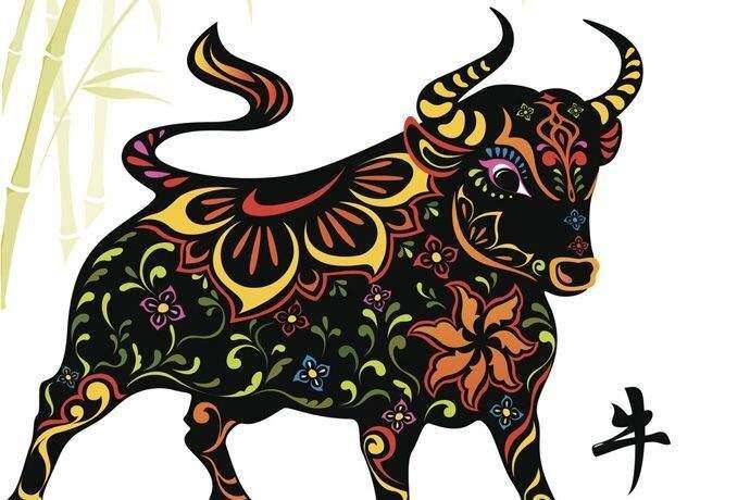 生肖属牛的今年多大,属牛的年份?