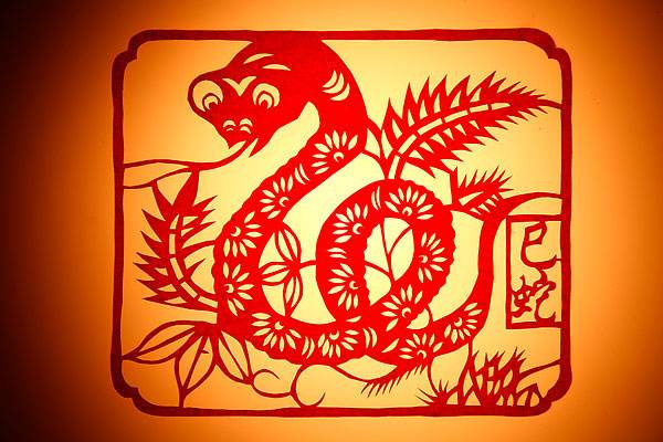 生肖属蛇的今年多大,属蛇的年份?