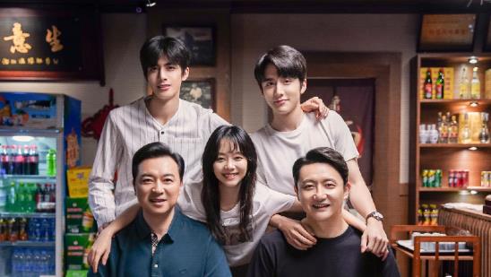 推荐以家人之名电视剧免费观看？