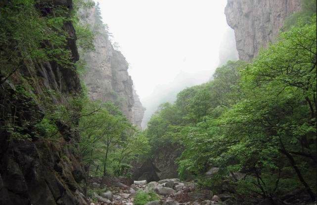 1602206476968923.jpg 06.jpg