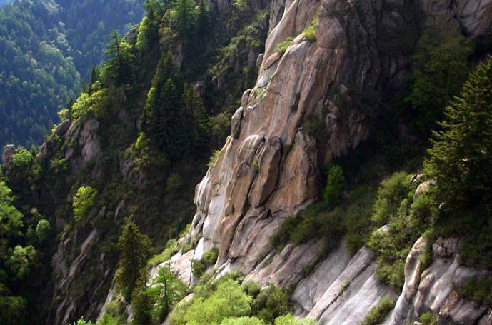 1602206482630277.jpg 07.jpg