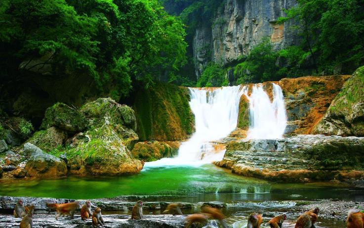 1602206492133580.jpg 09.jpg