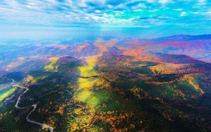 1602206496162521.jpg 10.jpg