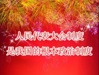 我国的政体是什么？