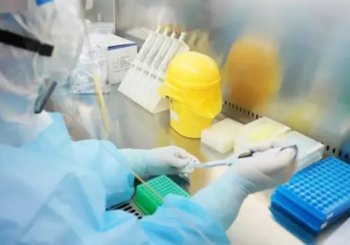 做核酸检测多久就可以出结果?