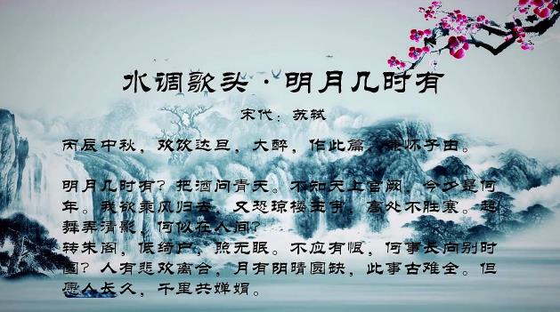 但愿人长久千里共婵娟的意思？