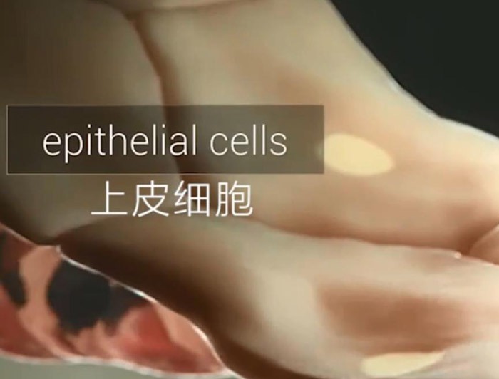 1634953986674297.jpg 喝下百草枯中毒后真的必死无疑吗4.jpg