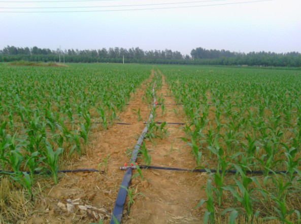 1亩地是多少平方米?