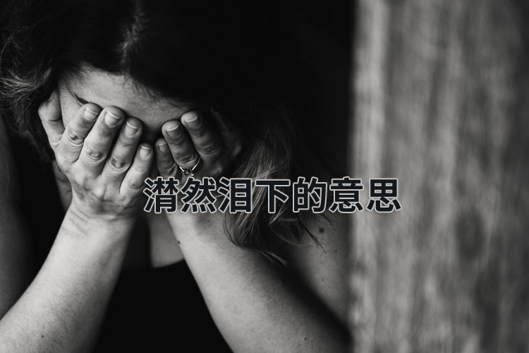 潸然泪下的意思