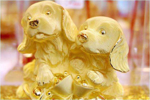 属狗的今年多大岁数了