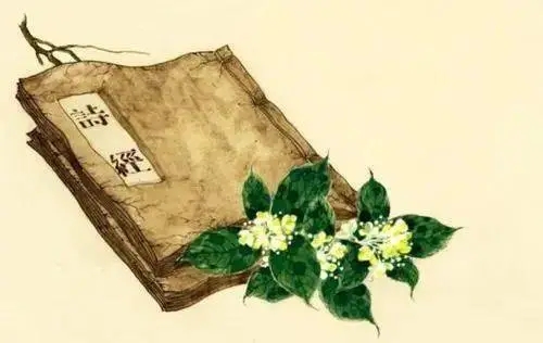 我国第—部诗歌总集是什么?