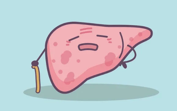 肝不好的话吃什么东西调理效果好些?