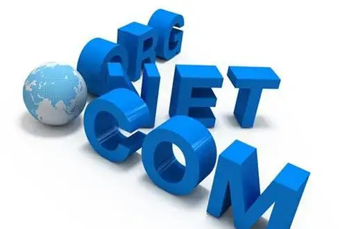 网站的域名是什么?