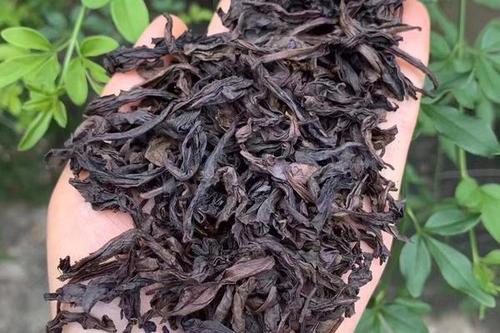 常喝的大红袍是属于什么茶?