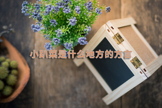 1658107283344075.jpg 小趴菜是什么地方的方言.jpg