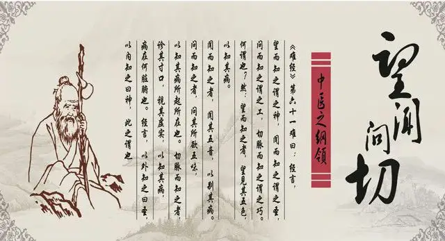 中医四诊法指的是什么?