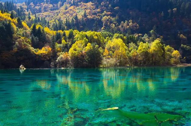 九寨沟有什么好玩的?九寨沟经典攻略!