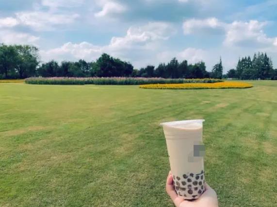 秋天的第一杯奶茶有什么含义?