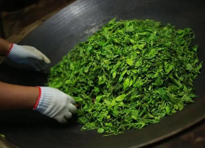制茶工艺中的杀青什么意思?