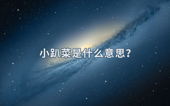 小趴菜是什么意思.jpg