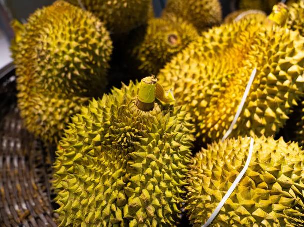 怎么选榴莲才能选到最好的？