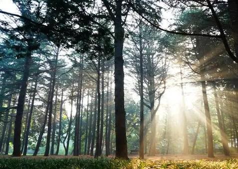 丁达尔效应是什么意思？