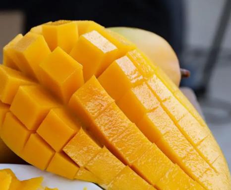 什么东西不能和芒果一起吃？