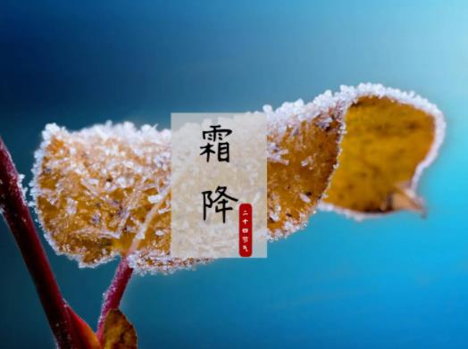 霜降节气有什么含义.jpg