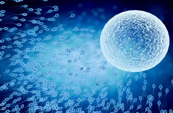 有研究称男性生育能力断崖式下跌是真的吗?