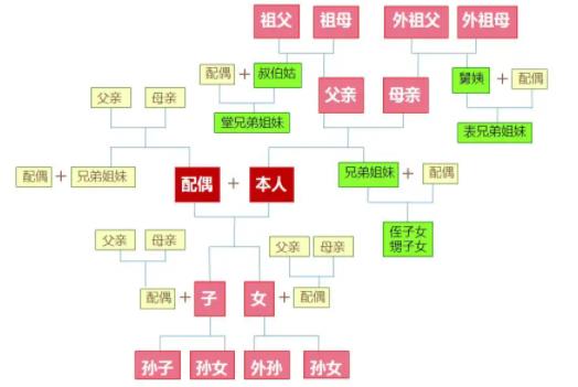 直系亲属包括哪些人？