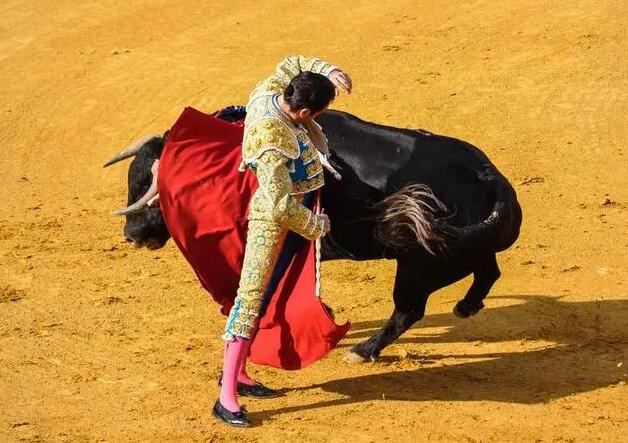 为什么牛看见红色就会兴奋会发疯？