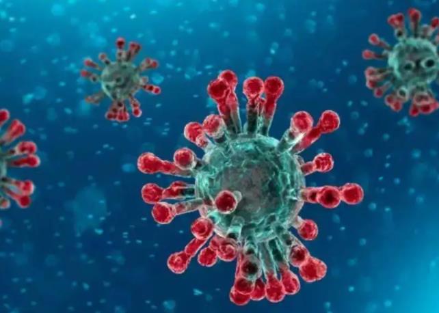 1671151902601099.jpg 什么是新冠病毒.jpg