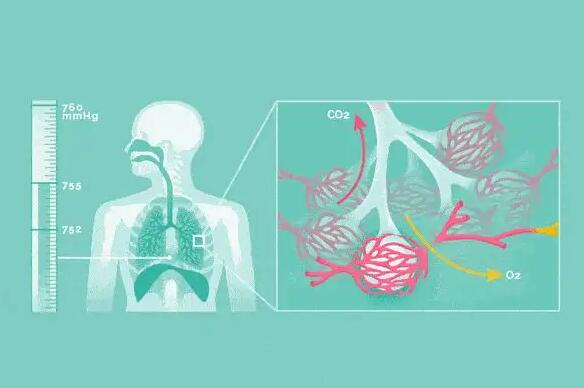 “慢呼”患者“阳”了怎么办？