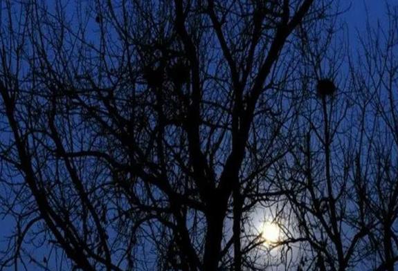 子时是几点到几点钟?