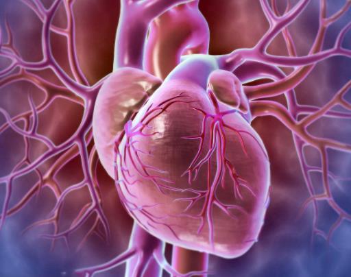 心肌炎会有哪些危险信号?