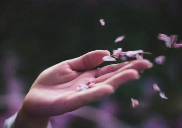 1679374746737226.jpg 意难平是什么意思.jpg