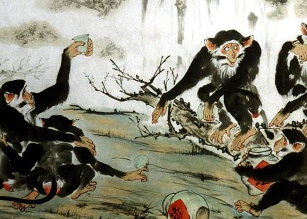 1681519172282790.jpg 猴儿酒真的存在吗.jpg