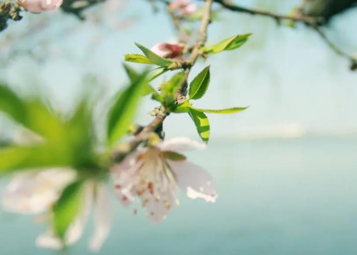 清明节是国家法定节假日吗？