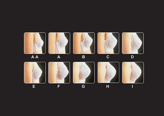 1682038220368719.jpg abcd罩杯是怎么计算的.jpg