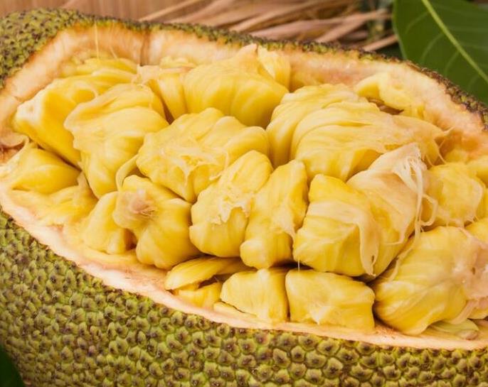 菠萝蜜的功效与作用详细介绍