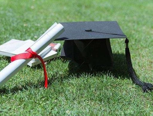 单招是什么意思?