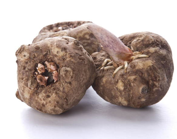 魔芋是什么东西?魔芋的用途?