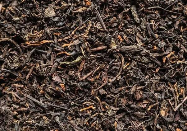 生普洱和熟普洱有什么区别?