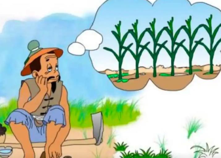 揠苗助长是什么意思?