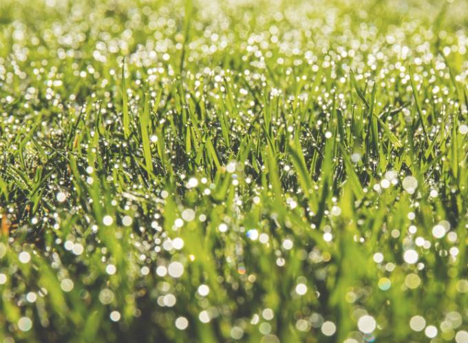 谷雨节气的含义?