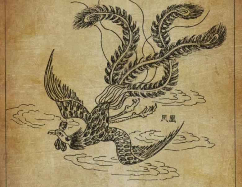 凤凰真的存在吗?
